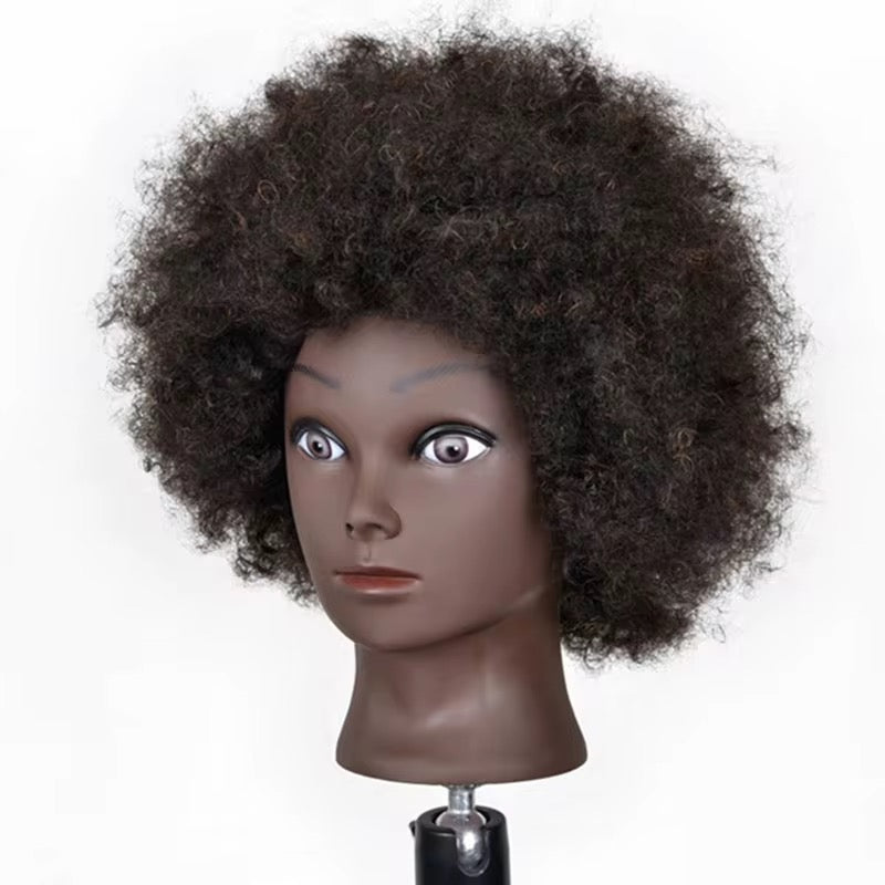 Professionelle Haarstyling-Puppe Afro Mannequin Kopf mit echtem Menschenhaar, kann Dauerwelle bleichen für Friseure, Studenten, Kosmetologie Tr - Afro Black Skin